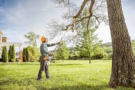 How Our Tree Care Process Works  in Passapatanzy, VA